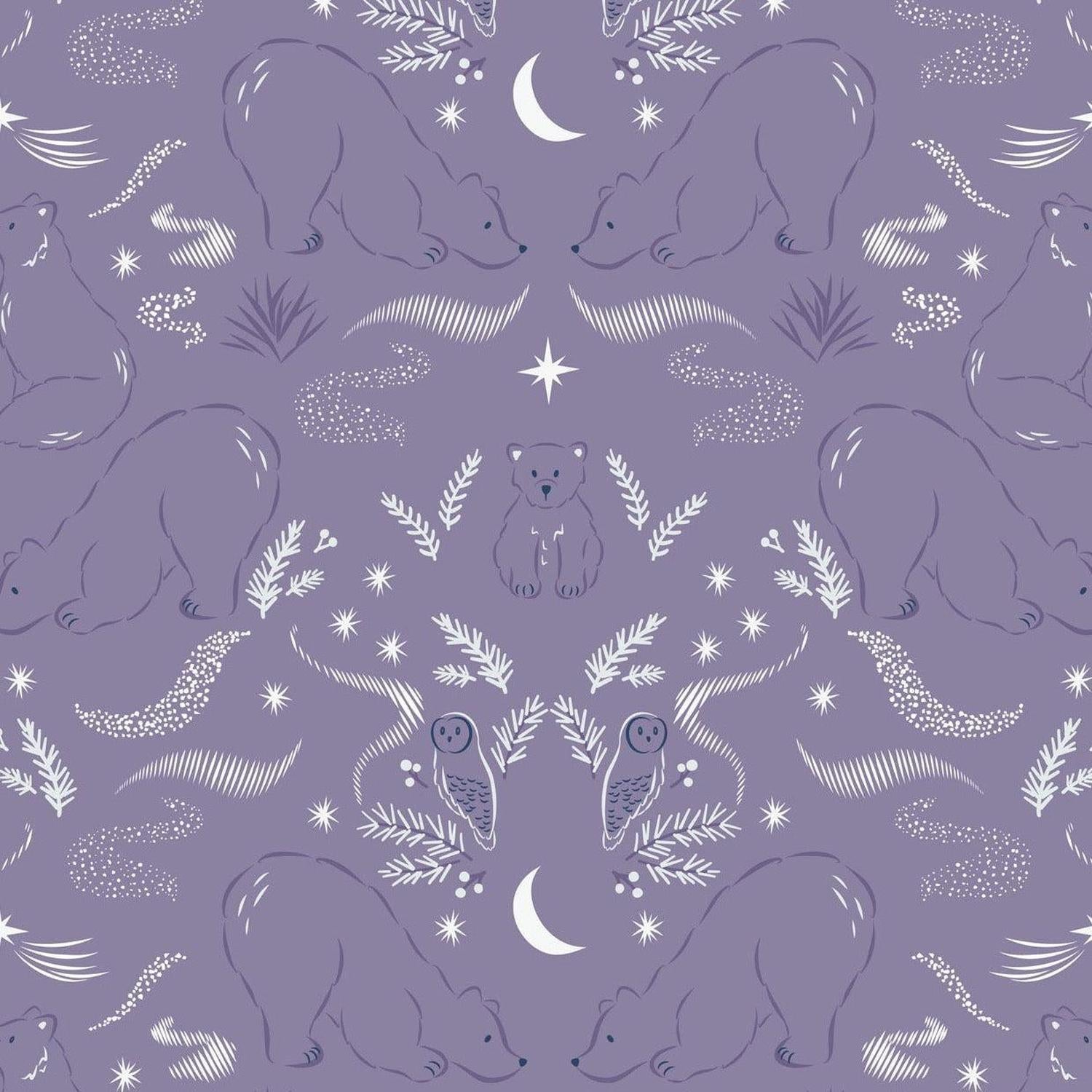 Arctic Adventure - Arctic Lights - Cotton