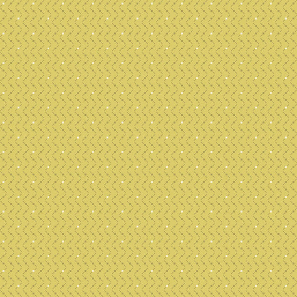 Beyond Time - Criss Cross Sweet Sunshine - Cotton Fabric