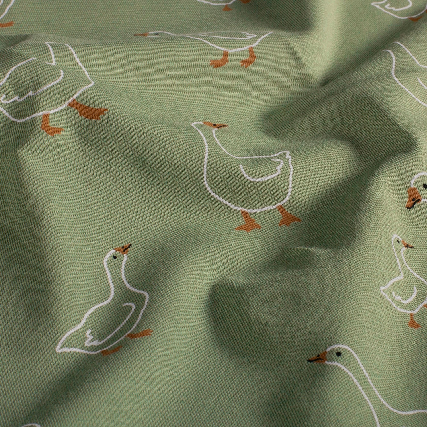 Cotton Jersey - Green Ducks