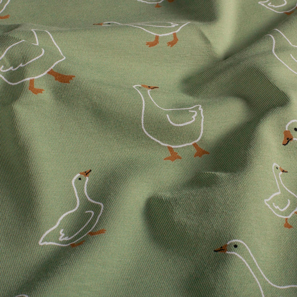 Cotton Jersey - Green Ducks