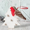 Robin Embroidery Felt Craft Kit