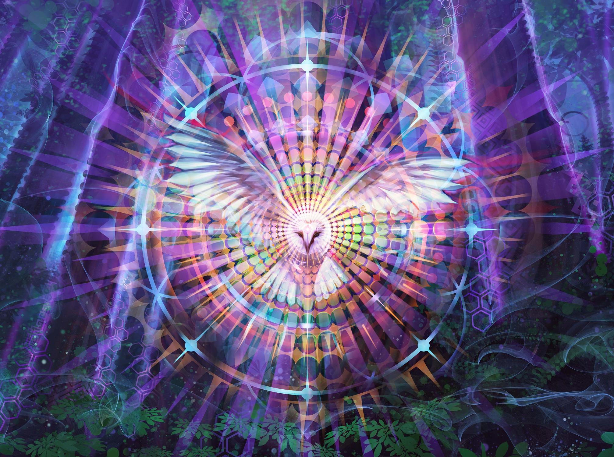 Night Vision Owl Panel