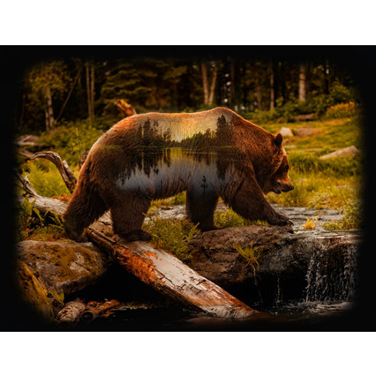 Call of the Wild - Bear Panel
