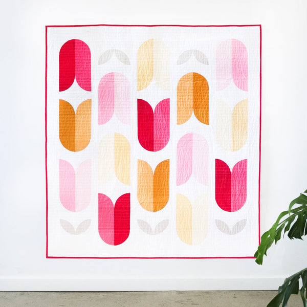 Quilting Curves Class