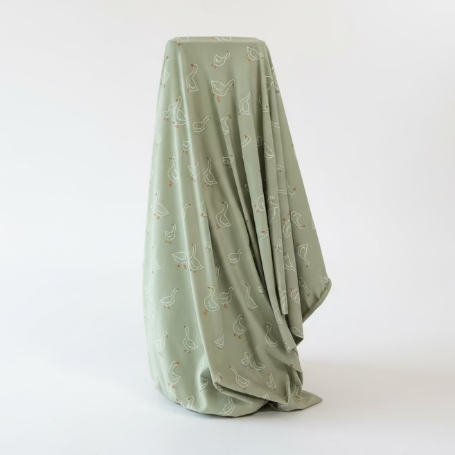 Cotton Jersey - Green Ducks