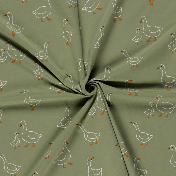 Cotton Jersey - Green Ducks