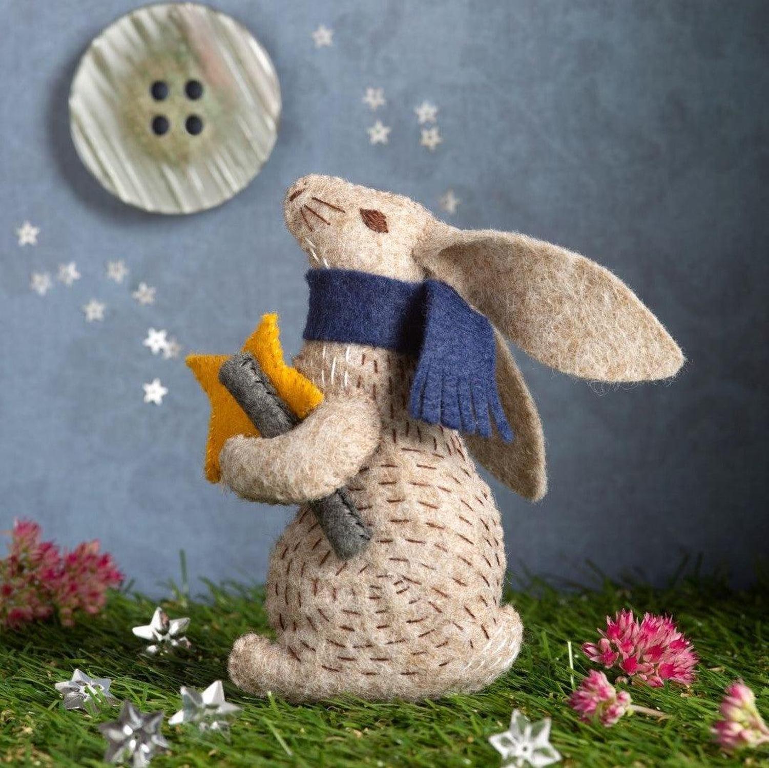 Prof Hare Stargazer Embroidery Felt Craft Kit