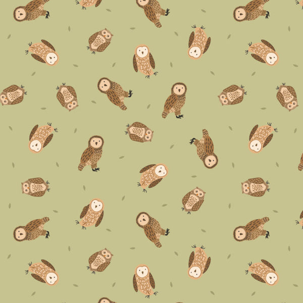 Pattern of brown owls on a green background