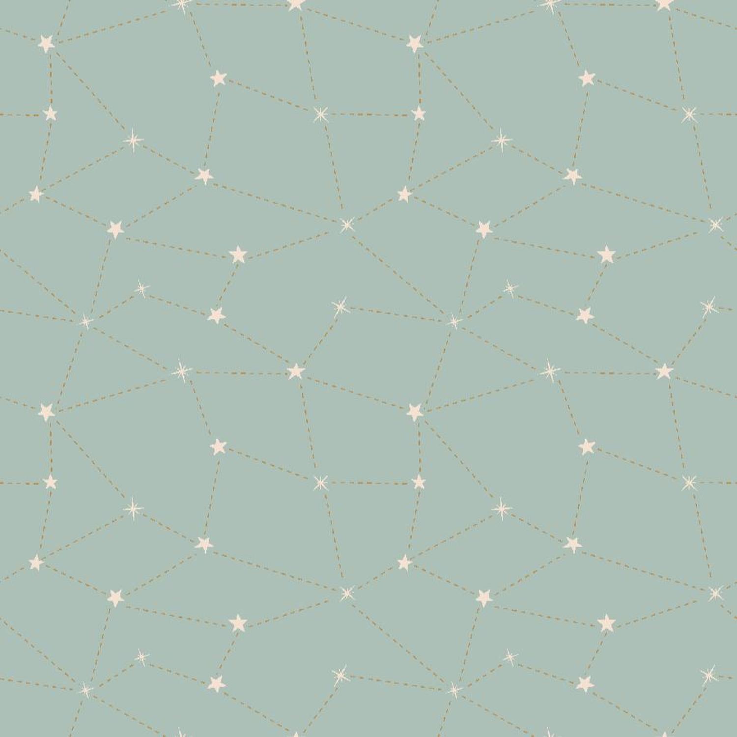 Savanna Look Into The Stars - Cotton