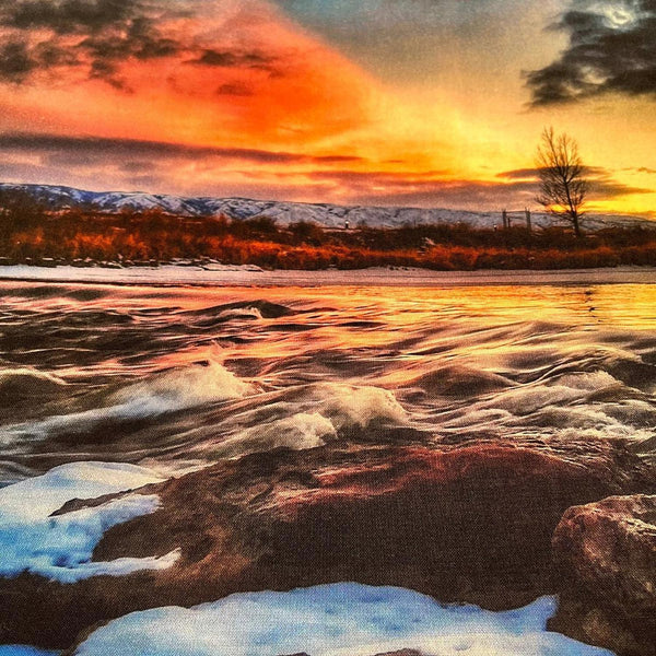 Wild by Travis Glasgow - Cotton Photo Panel