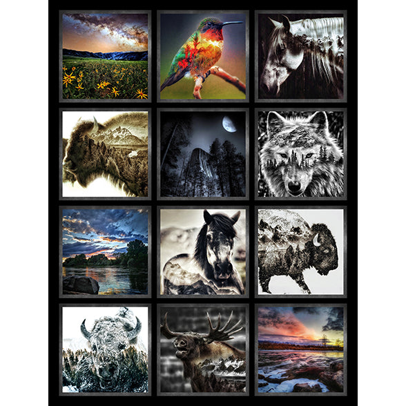 Wild by Travis Glasgow - Cotton Photo Panel