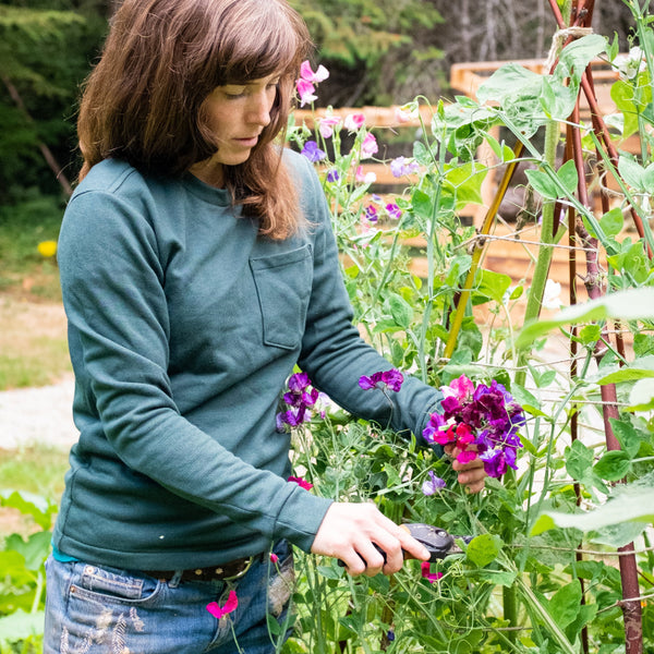 Sewing Knits: T-Shirt Class