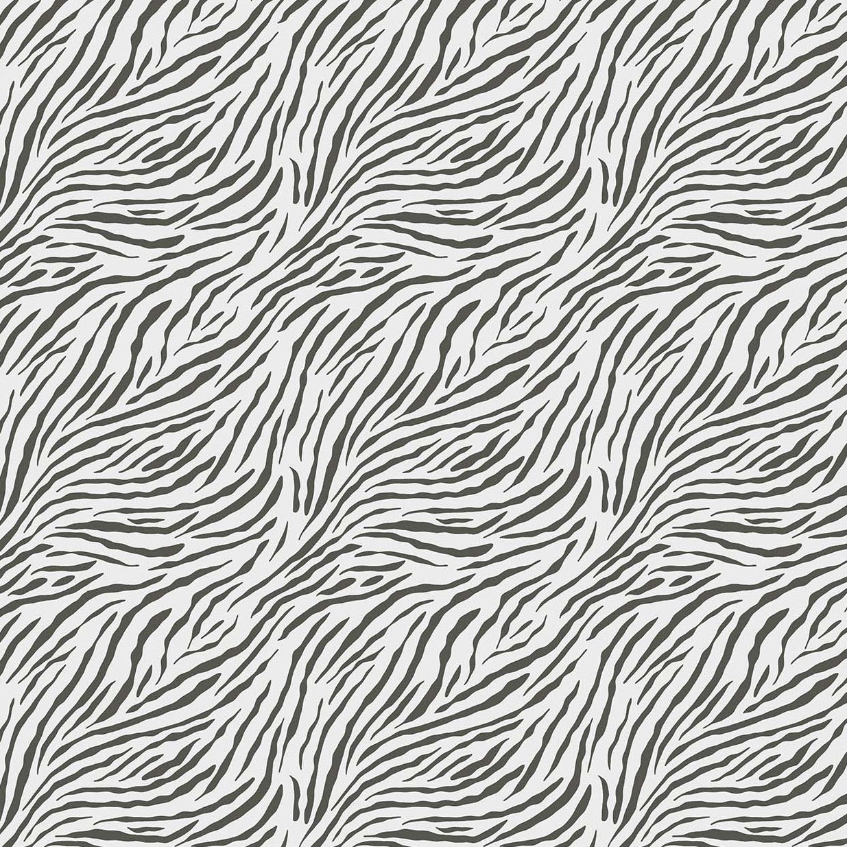 Baby Safari - Zebra - Cotton