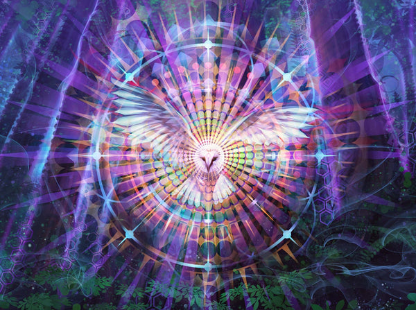 Night Vision Owl Panel