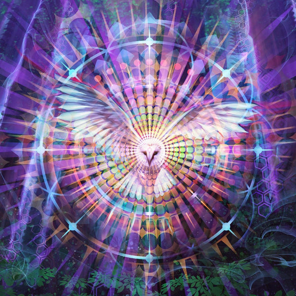Night Vision Owl Panel