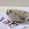 Needle Felting Kit - Harbour Seal